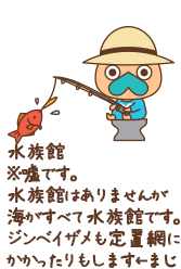 水族館 ※嘘です。水族館はありませんが海がうべて水族館です。ジンベイザメも定置網にかかったりします。